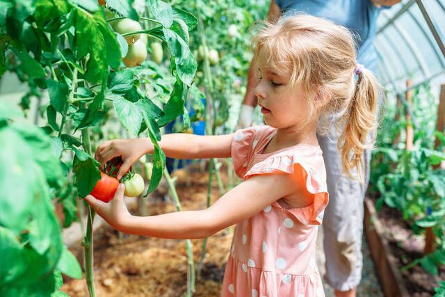 kalokairina frouta kai laxanika gia enydatosi paidion 2