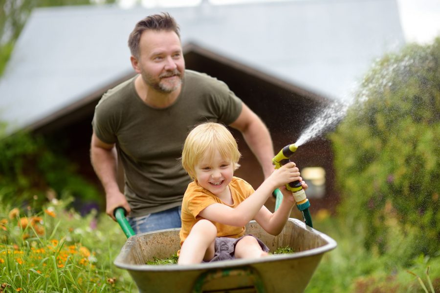Happy Little Boy Having Fun In A Wheelbarrow Pushing By Dad In Domestic Garden On Warm Sunny Day. Ch