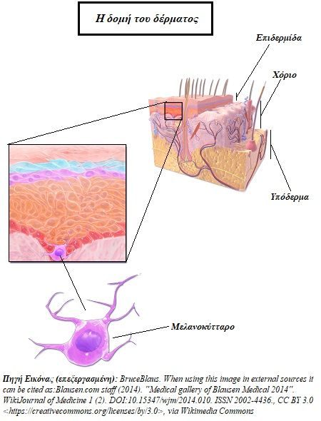 skouro-derma2.jpg