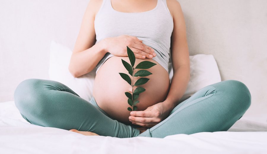 Pregnant Woman Holds Green Sprout Plant Near Her Belly As Symbol Of New Life, Wellbeing, Fertility,